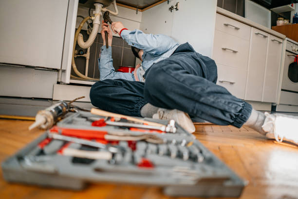 Best Sprinkler Systems  in Lakemoor, IL