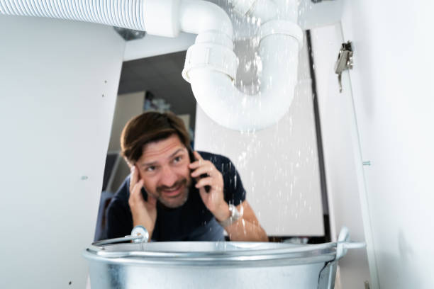 Best Clogged Drain Plumber  in Lakemoor, IL