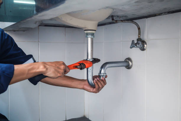 Best Plumbing Inspection Services  in Lakemoor, IL