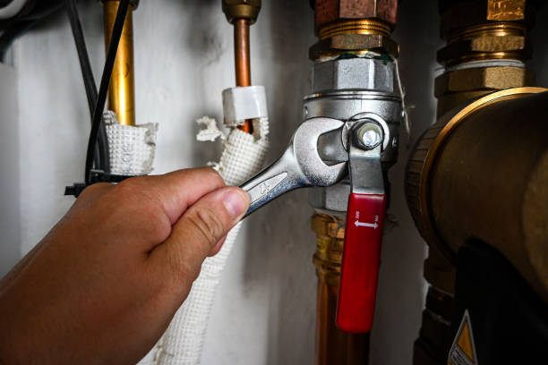 Best Clogged Drain Plumber  in Lakemoor, IL
